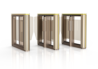 JSTZ3910A Swing Gates.png